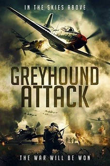 Greyhound Attack 2019