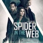 Spider in the Web 2019
